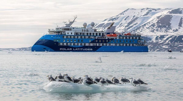 Rentals for the Ocean Albatros